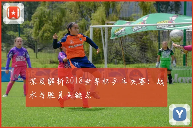 深度解析2018世界杯乒乓决赛：战术与胜负关键点