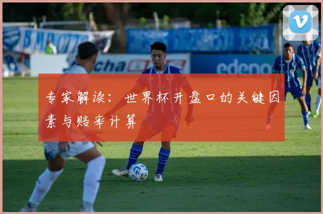 专家解读:世界杯开盘口的关键因素与赔率计算