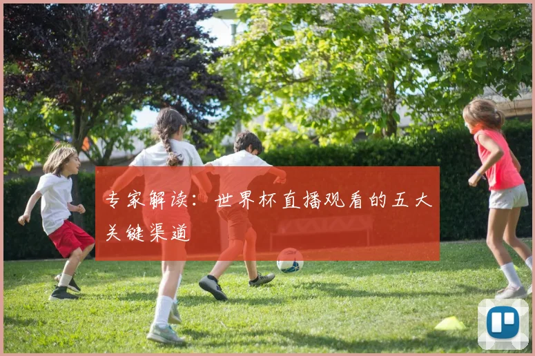 专家解读:世界杯直播观看的五大关键渠道