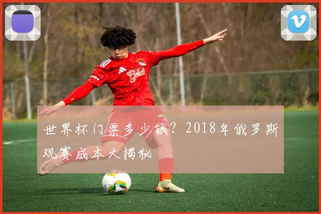 世界杯门票多少钱?2018年俄罗斯观赛成本大揭秘