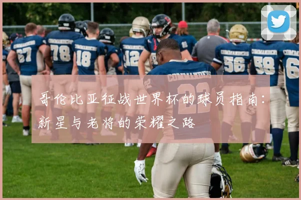 哥伦比亚征战世界杯的球员指南:新星与老将的荣耀之路