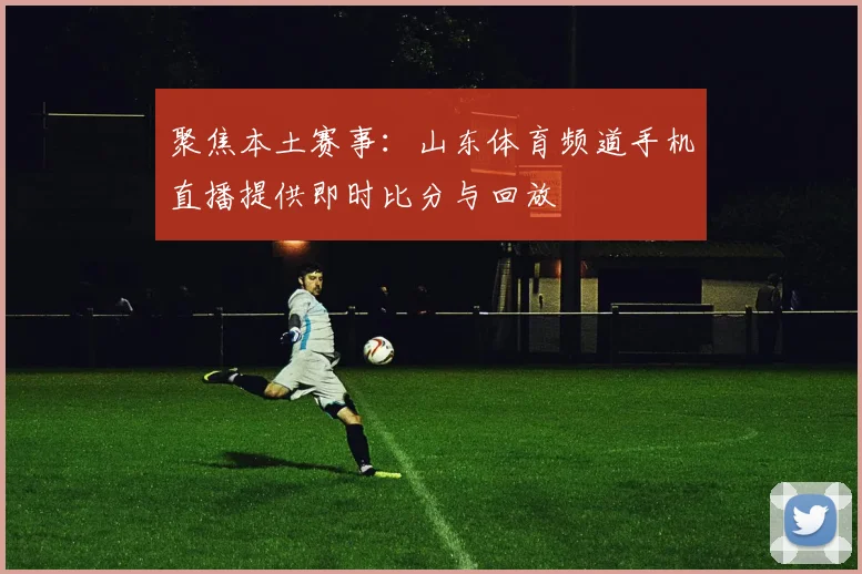 聚焦本土赛事:山东体育频道手机直播提供即时比分与回放